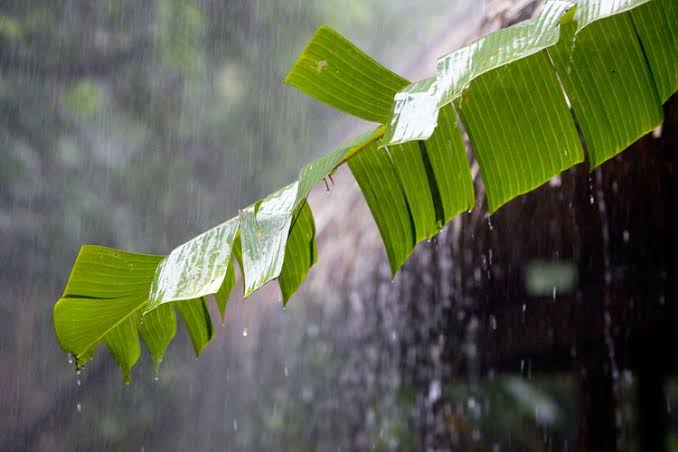 Prakiraan Cuaca Kota Batam Hari Ini: Hujan Ringan di Pagi Hari, Berawan Tebal Sepanjang Siang